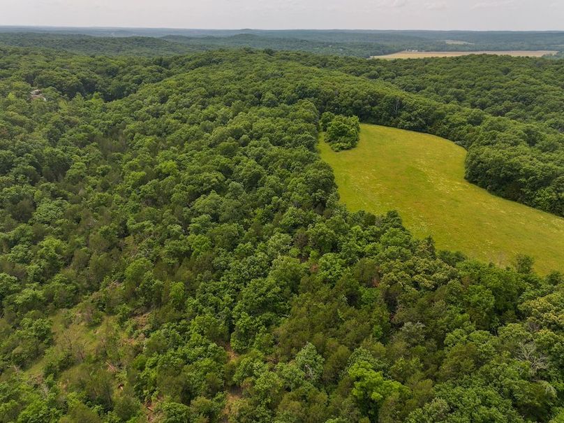DJI_20250602135047_0388_D