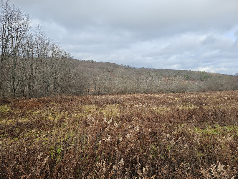 photo_f7de009b-47f7-4351-8e8e-c0228b1cf49d