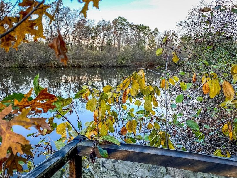 Adams 263.17, Hale -90