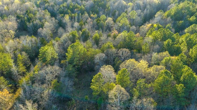 Granville NC 183 Premium _Pro Photo-75