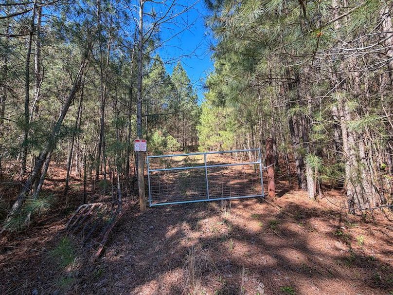 010AE 257 Acres - 1-11