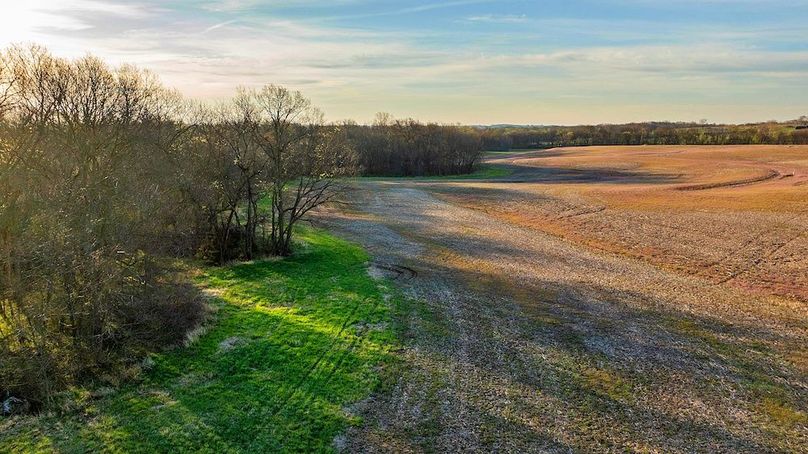 Copy of 9.5 Platte 75-7