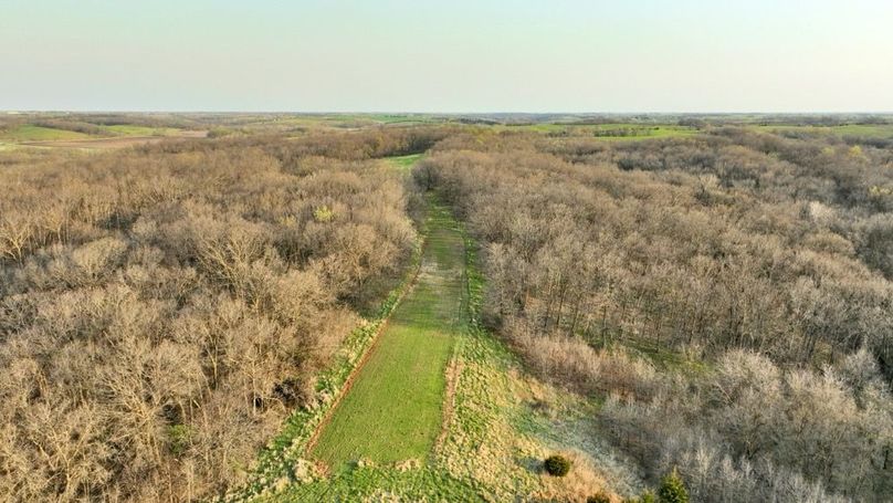 DJI_0291