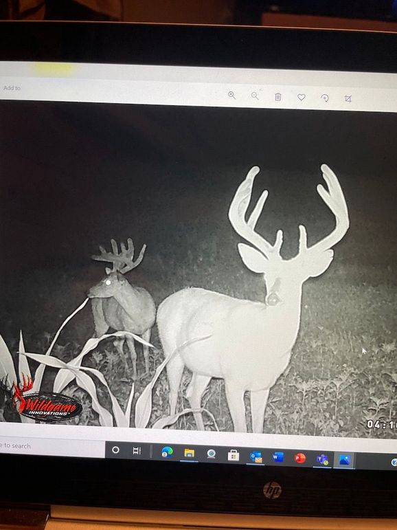 65042410470__8128653F-CBA6-446D-86DD-72ACF152484C