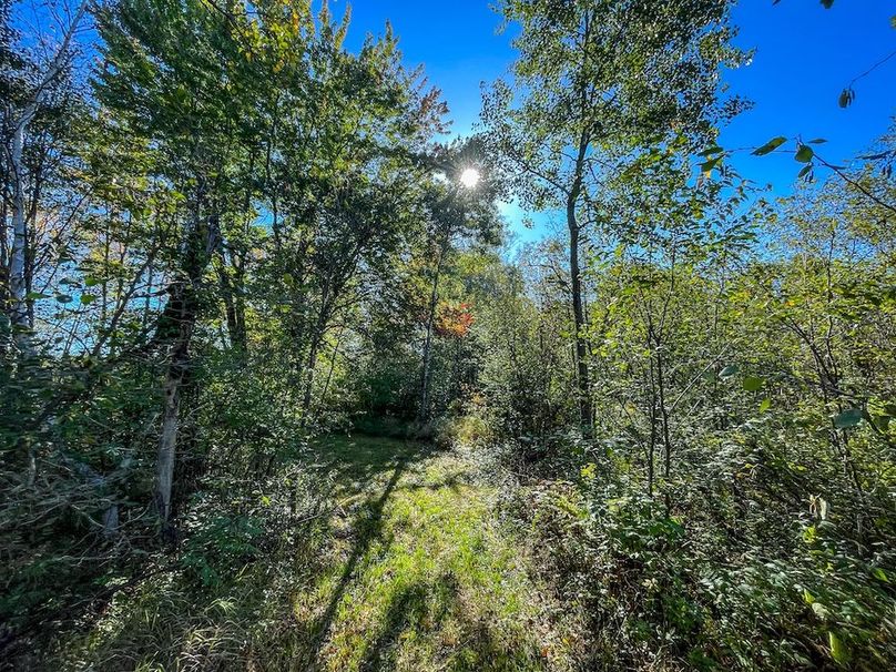 Wood 41.451, Collins -10