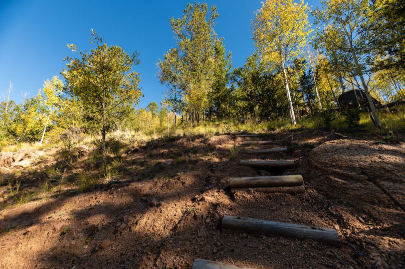 Teller Co 4.65 Thomas - 019 Steps Up Hillside