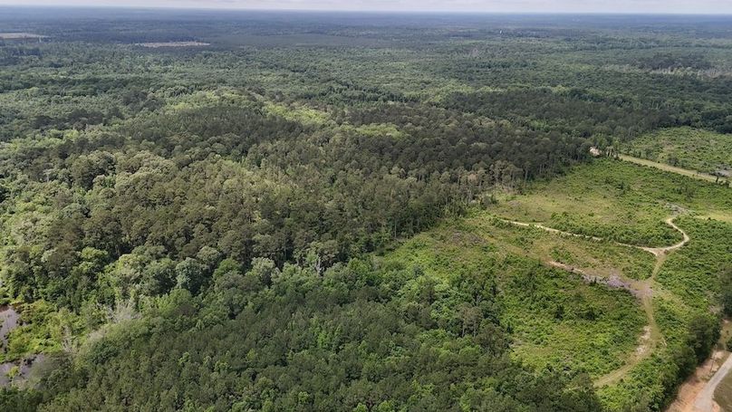 Copy of DJI_20250530002525_0554_D