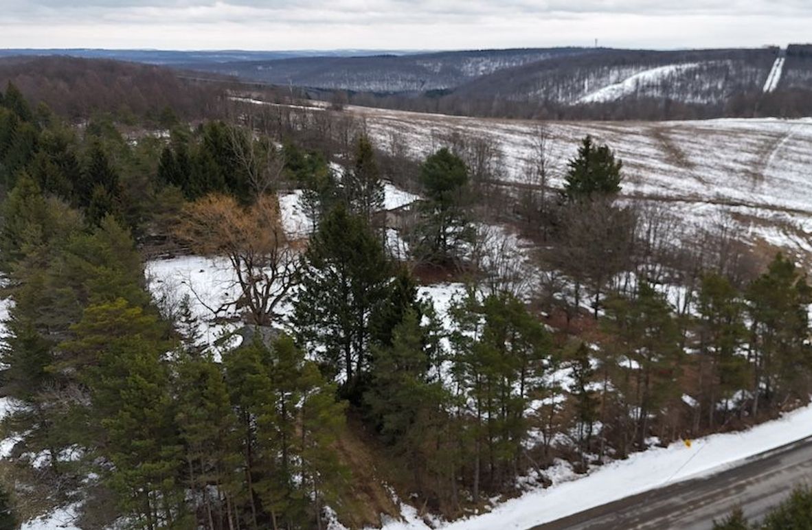 2 DJI_20260115004752_0002_D