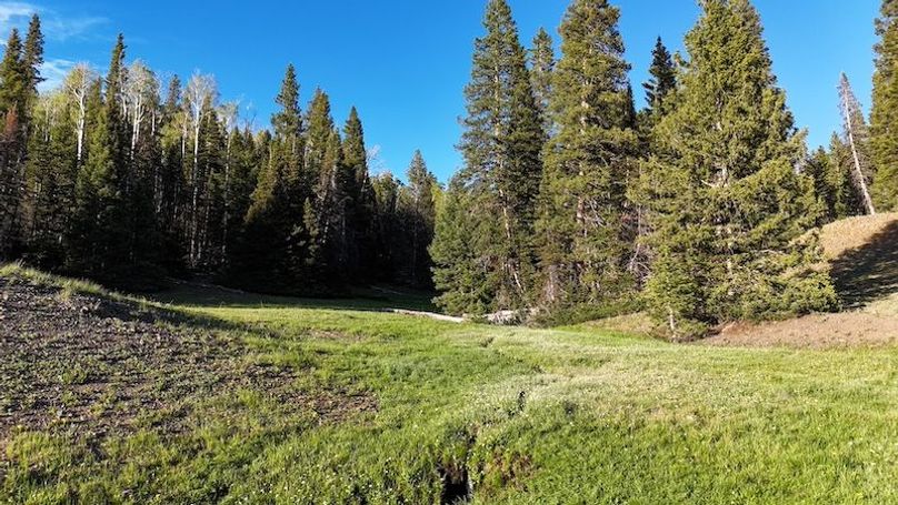DJI_20250613194348_0071_D