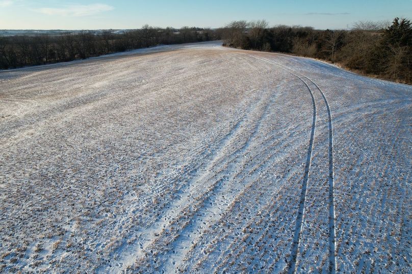 DJI_0469