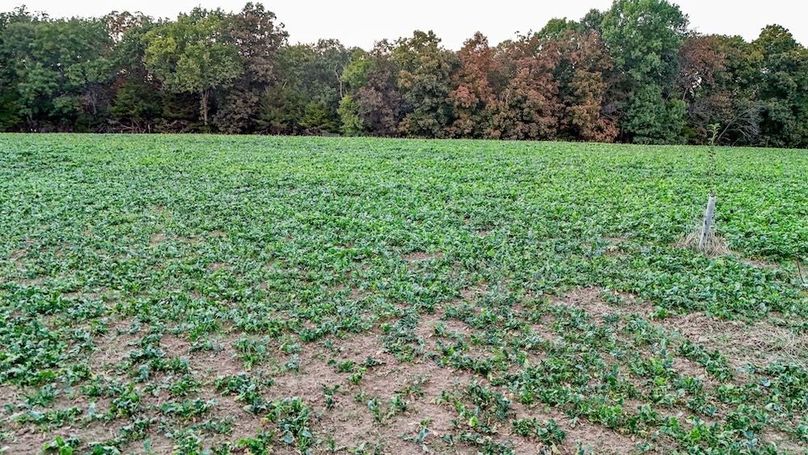 DJI_20251010180928_0050_D