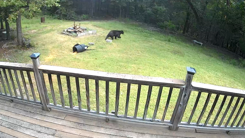 Screenshot 2026-02-19 at 3.37.18 PM