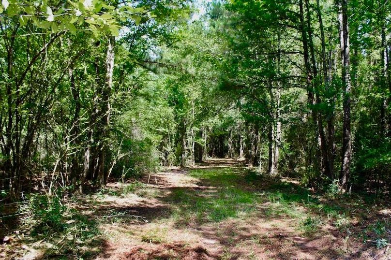 F796F6E7-D488-4975-9A8D-C2CCBDD7CCAC_1_105_c