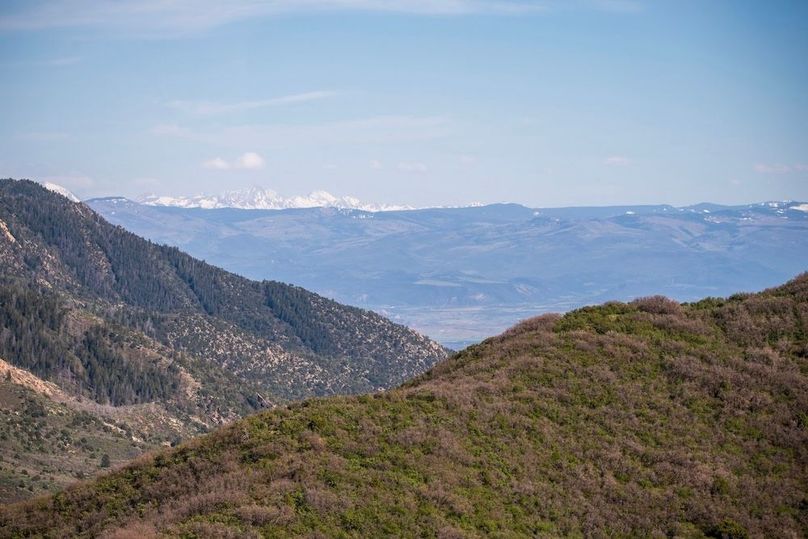 Copy of Copy of DSC_9781