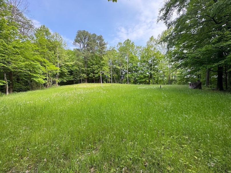 Pleasants, WV 168.59 AC Superior, Swank, Young-068