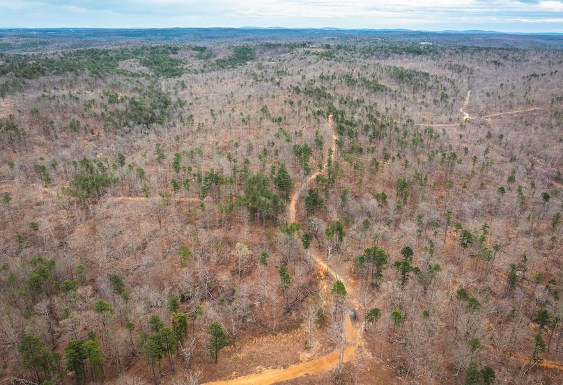 DJI_20250403121252_0584_D