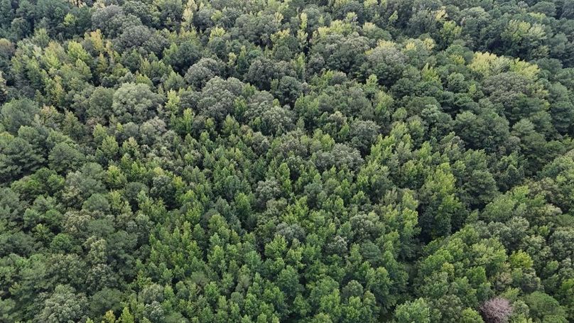 DJI_20250813041723_0621_D