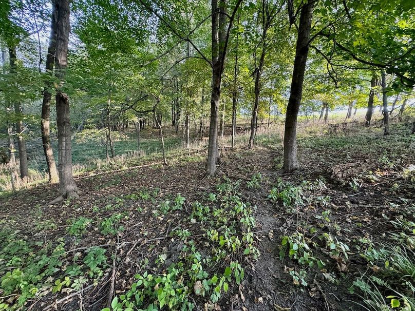 Richland 199Ground - 44