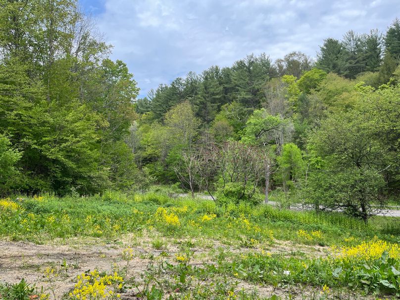 Tioga_18.72_Coulson Photo 12