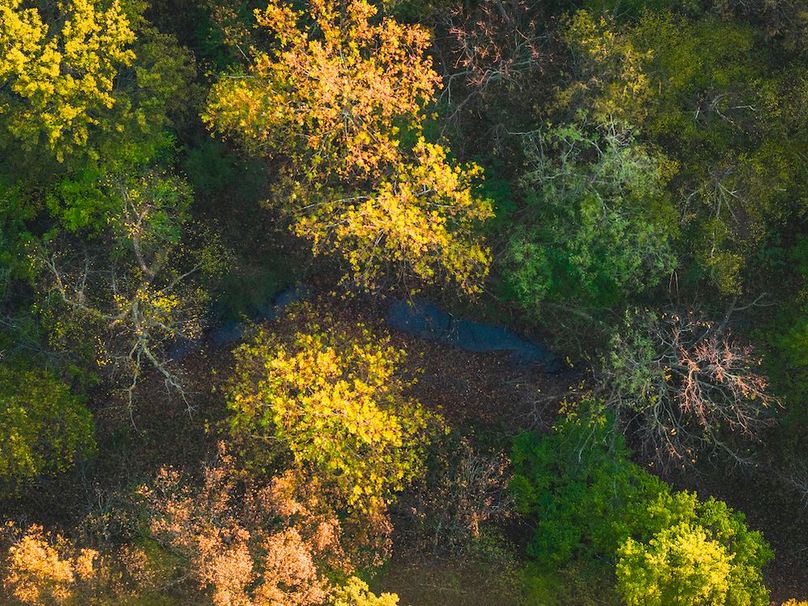 DJI_20251031075735_0090_D-HDR