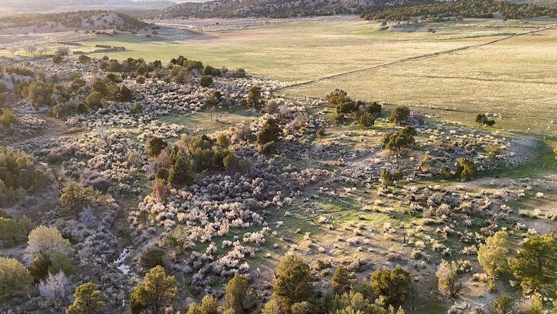 DJI_20250409192944_0086_D