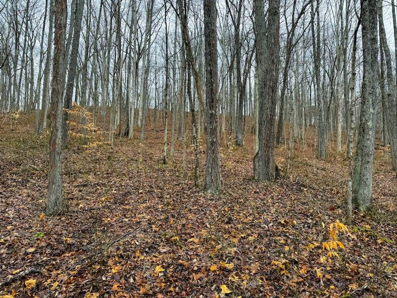 Ritchie, WV 64 AC Hall New Pics-18