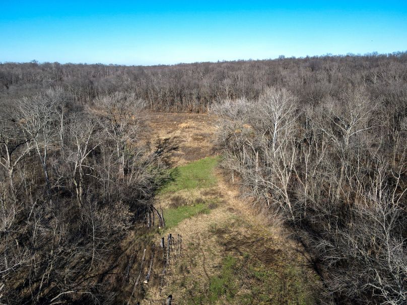 vandalia 450 (2)-665