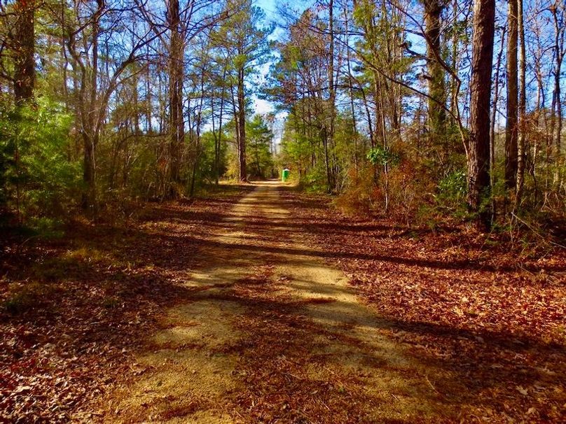 2A736BAC-A4CA-4A42-9115-359E6C9BC9CD_1_105_c