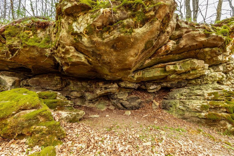 38-web-or-mls-Wolf Hill-16