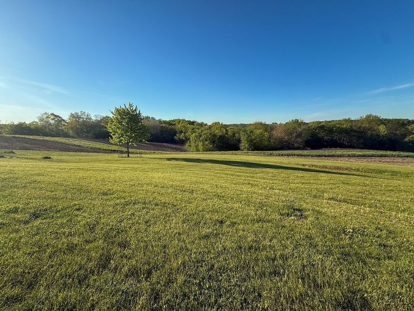 Houston 40ac Mueller-74