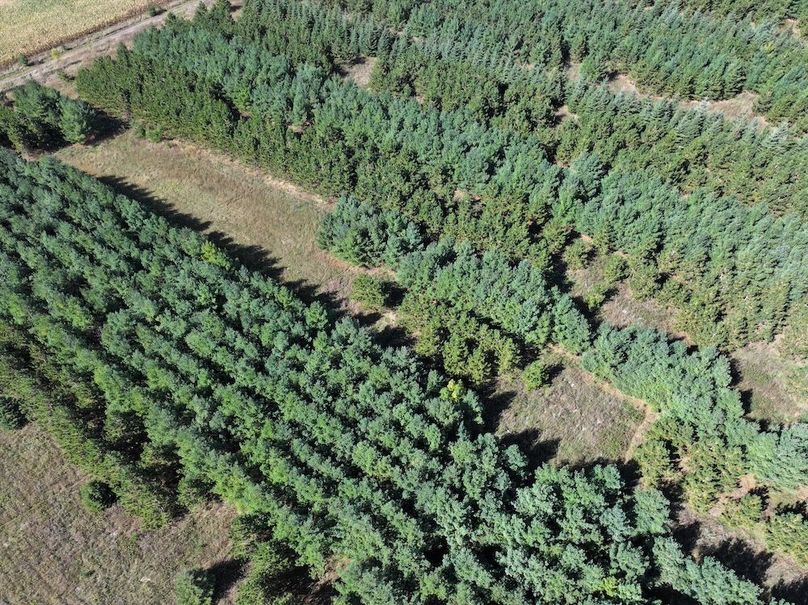 dji_fly_20240924_142704_0300_1727213953514_photo