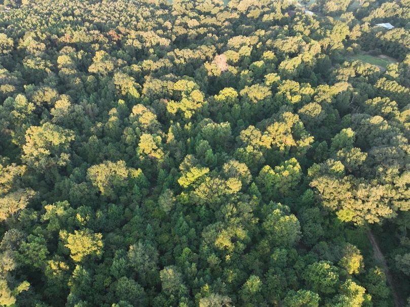 dji_fly_20250909_072548_189_1757426918884_photo