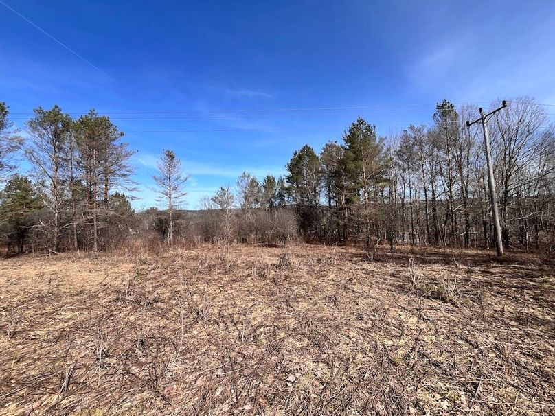 Lewis_26_Somberg Photo 12