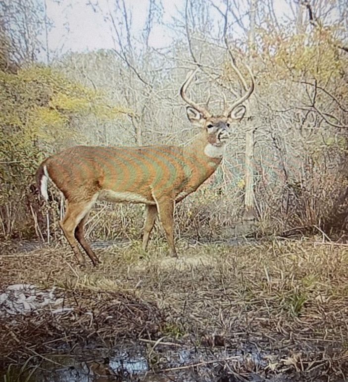 758C0EA8-A976-4747-BBFB-CF04E095E9B1_1_105_c