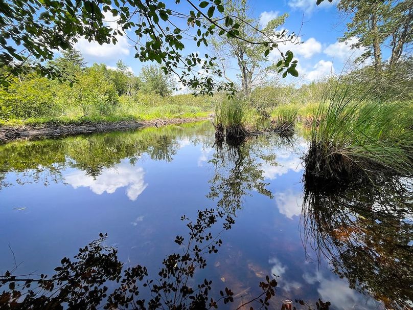 Oswego_100_Roof_Photos_23