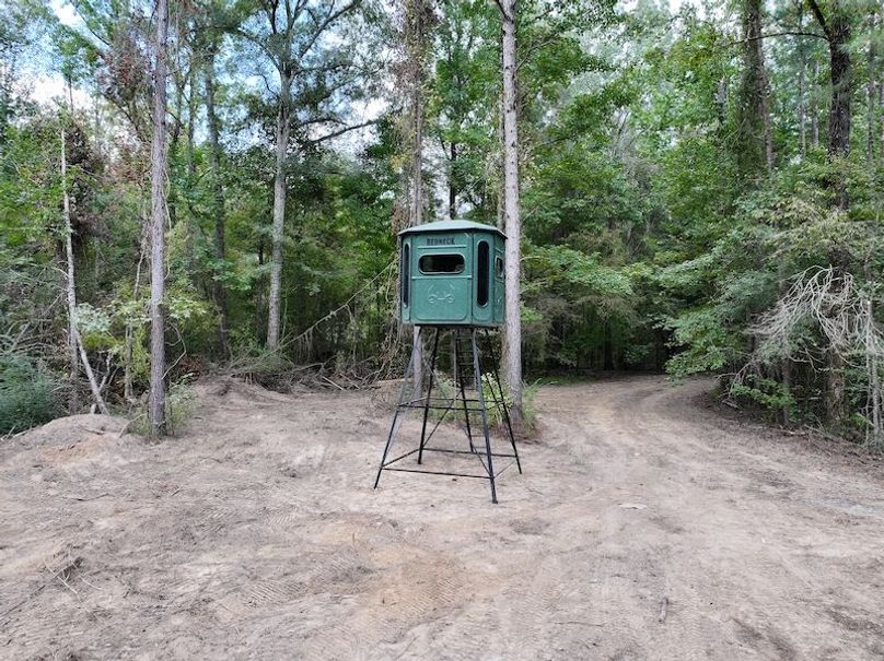 dji_fly_20251001_154622_0640_1759492682684_photo