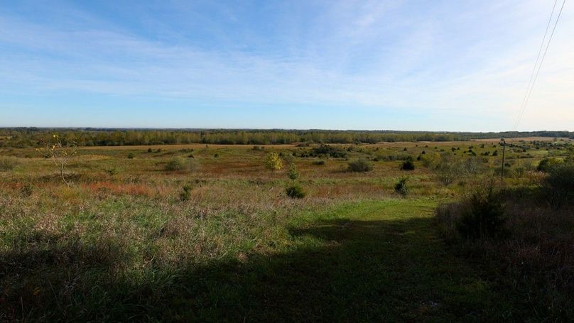 Sequence 07.00_00_11_19.Still131