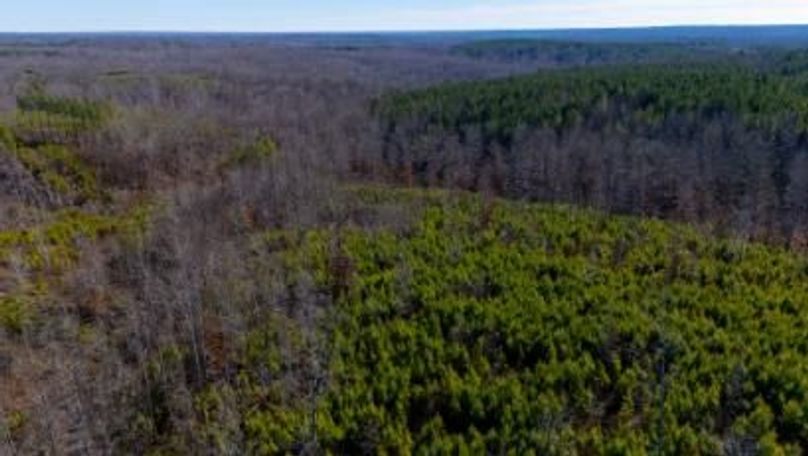 MCKINNON TRACT 19-20