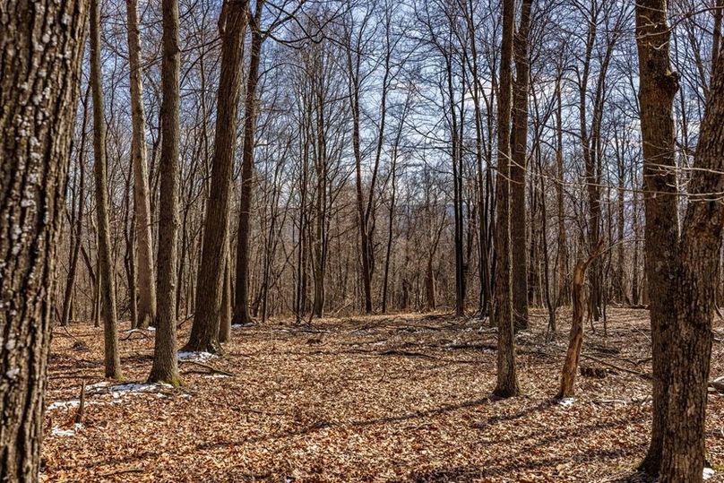 32-web-or-mls-IMG-32