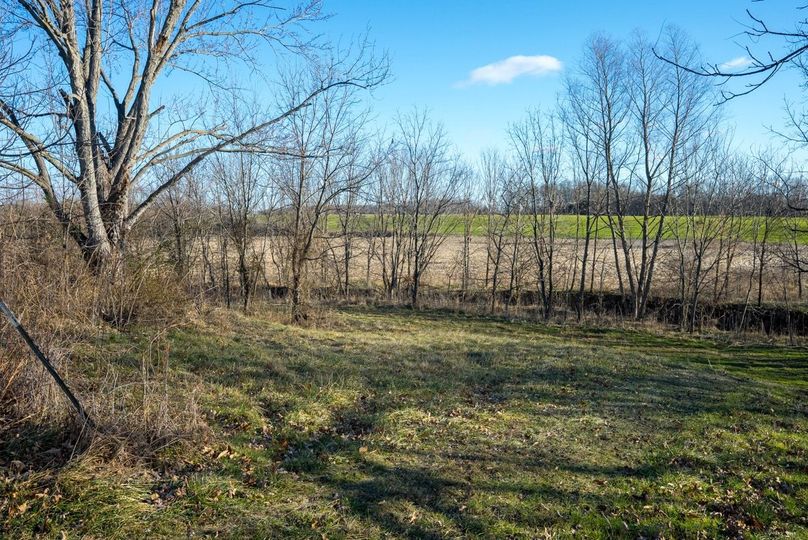 Copy of DSC00664 Large