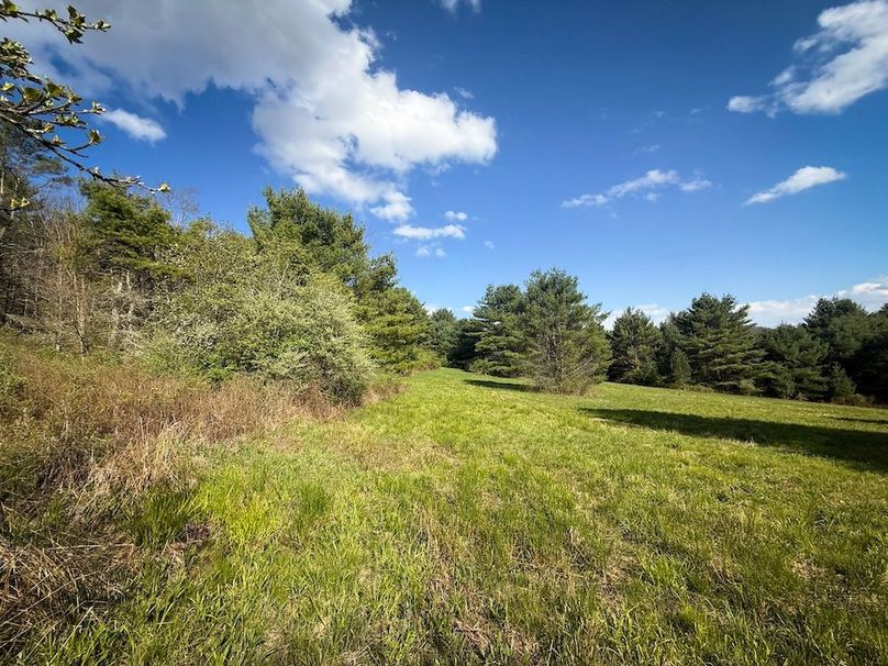 Chemung_59.8_Currier_photos_12