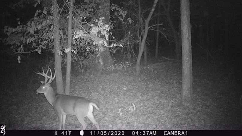 Buck 116 2