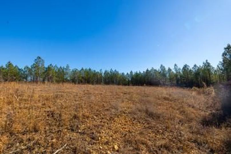 MCKINNON TRACT 29-09