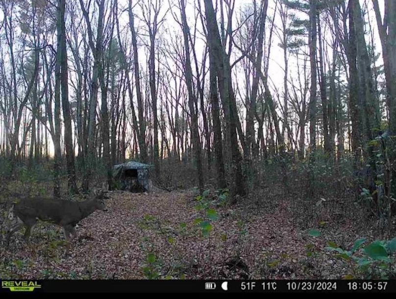 Monroe 50trailcam - 1