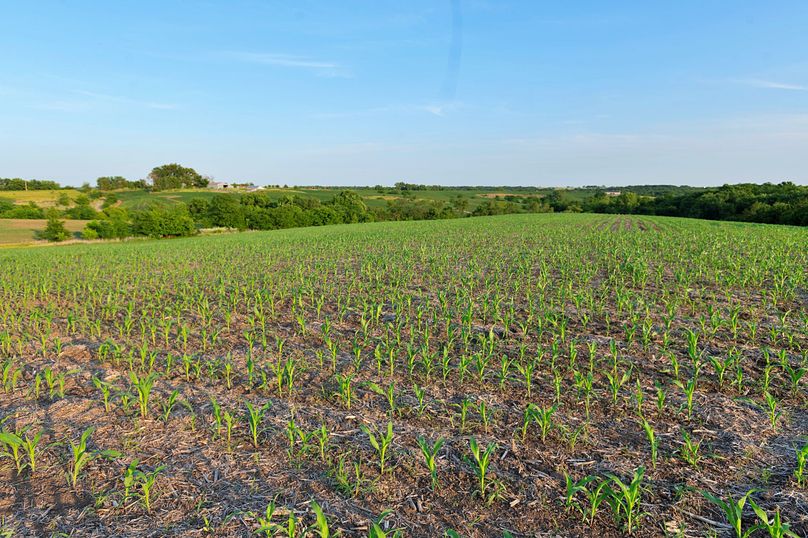 Harrison MO 480 Pro Photo_177 (20)