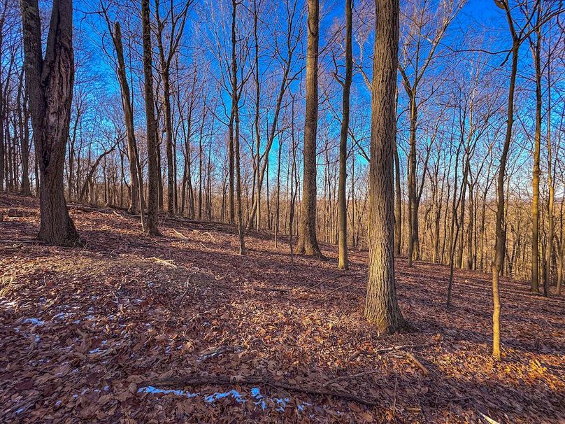 Pleasants, WV 81 AC Barron-35