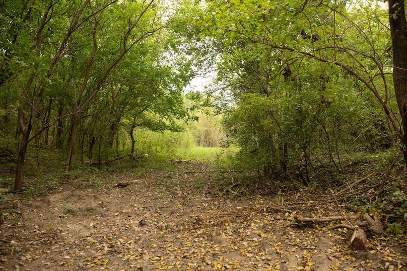  BLACKDOGBEND SOUTH_31