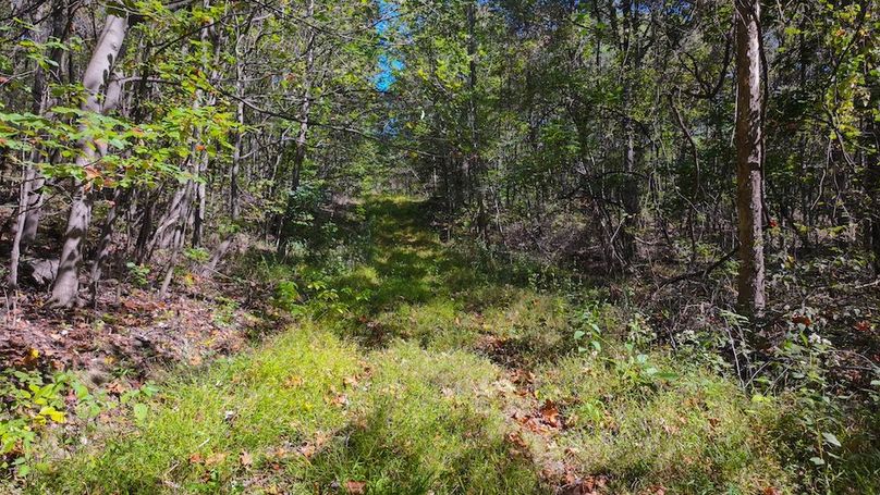 Fayette, 199, Hostetler-02