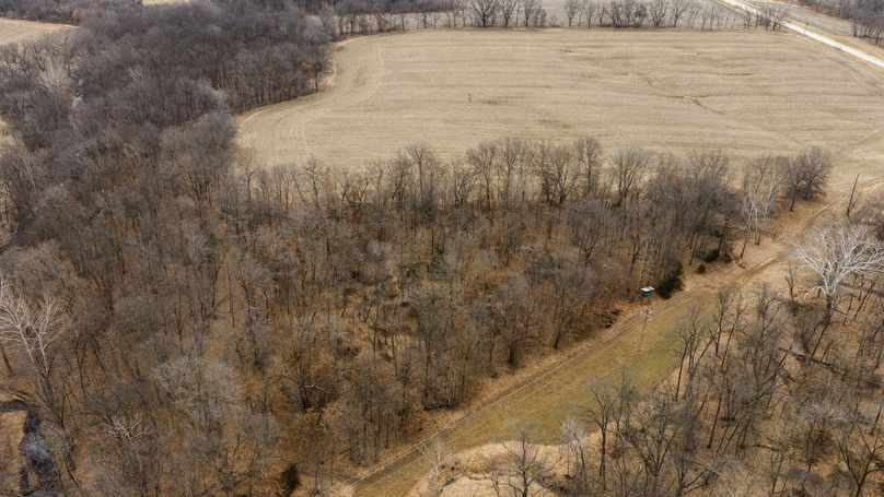 Pike IL 96.87 Adv Pro Photo-18