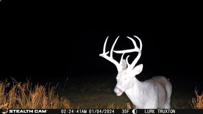 2024010402244201002229